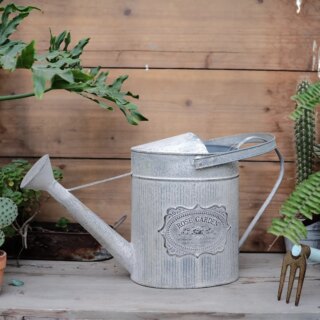 Photo d'un arrosoir vintage en zinc gris avec inscription rose garden dans un écusson posé sur une planche de jardin devant une palissade avec de chaque côté du feuillage et un griffoir en bas à droite