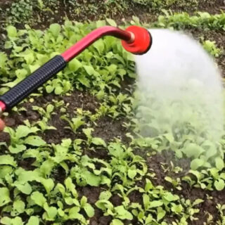 On voit une lance d'arrosage qui arrose des plants de potager