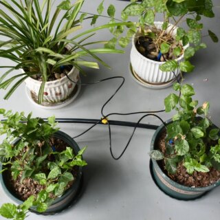 Photo de quatre pots de plantes posés sur le sol bénéficiant d'un arrosage goutte-à-goutte avec le tuyau principal et les petits tuyaux qui finissent dans les pots avec leurs flèches