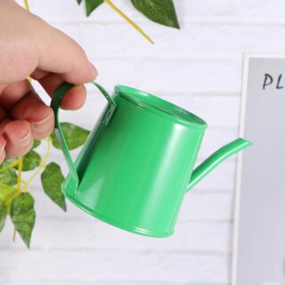 Mini arrosoir vert tenu par une main devant un mur blanc et une plante verte.