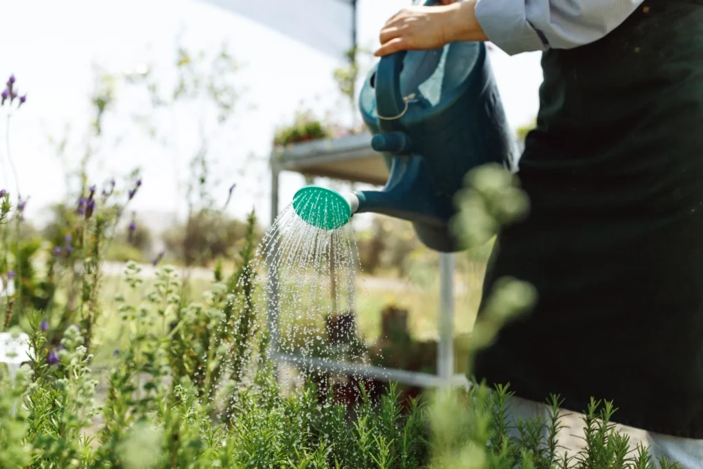 Comment arroser son jardin ? Jardinier qui arrose ses plantes avec un arrosoir