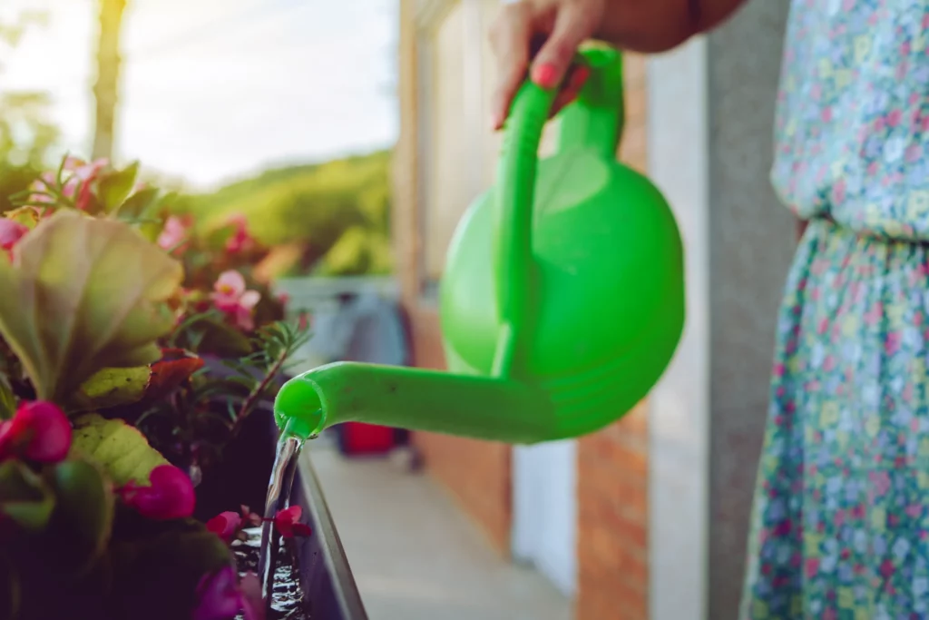 Comment choisir un bon tuyau d'arrosage ? Femme qui arrose ces plantes avec un arrosoir