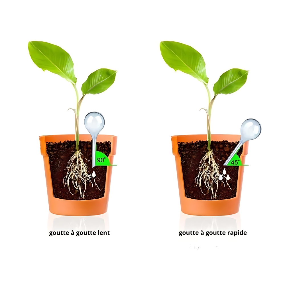 IMG_08_2024_kit-arrosage_goutte_à_goutte_10_pièces_en_forme_d_ampoules_3