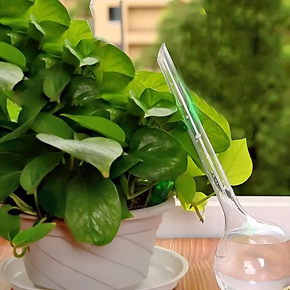 IMG_08_2024_kit-arrosage_goutte_à_goutte_10_pièces_en_forme_d_ampoules_4